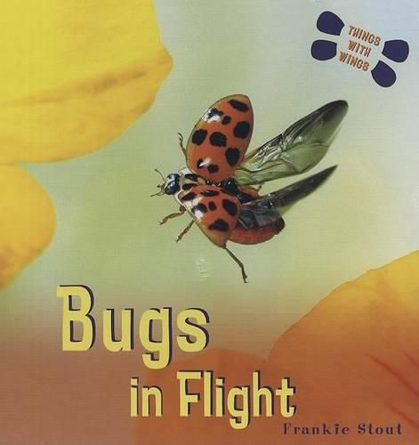 Cover image for Bugs