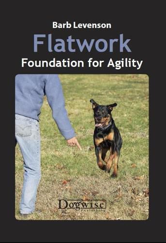 Cover image for Flatwork: Foundation for Agility