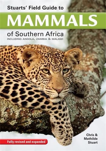 Cover image for Stuarts' Field Guide to Mammals of Southern Africa: Including Angola, Zambia & Malawi