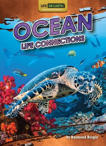 Cover image for Ocean Life Connections