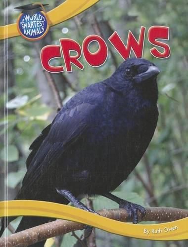 Cover image for Crows