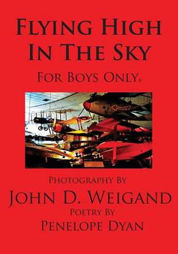 Cover image for Flying High In The Sky---For Boys Only