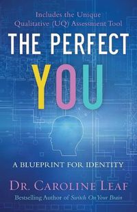 Cover image for The Perfect You - A Blueprint for Identity