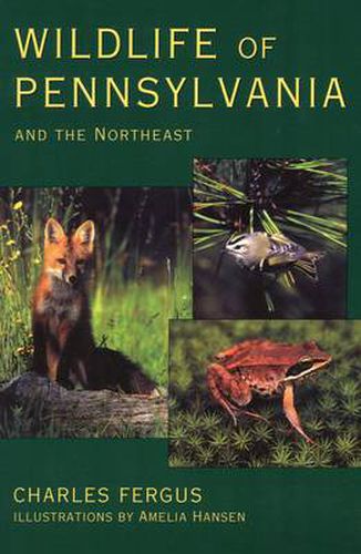 Cover image for Wildlife of Pennsylvania and the Northeast