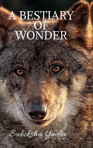 A Bestiary of Wonder