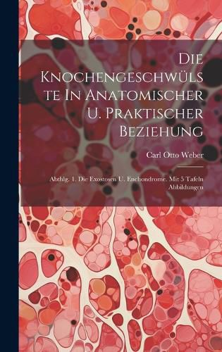 Cover image for Die Knochengeschwuelste In Anatomischer U. Praktischer Beziehung