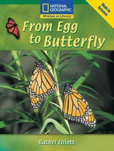 Cover image for Windows on Literacy Fluent (Math: Math in Science): From Egg to Butterfly