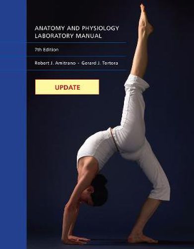 Cover image for Update: Anatomy & Physiology Laboratory Manual