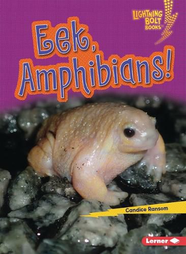 Cover image for Eek, Amphibians!