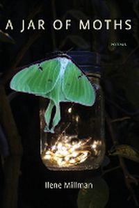 Cover image for A Jar of Moths