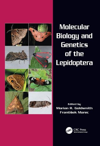 Cover image for Molecular Biology and Genetics of the Lepidoptera