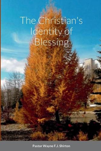 Cover image for The Christian's Identity of Blessing