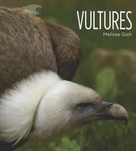 Vultures