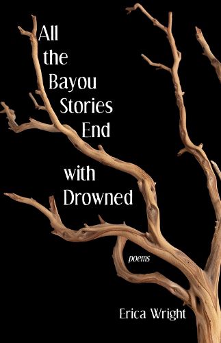 Cover image for All the Bayou Stories End with Drowned