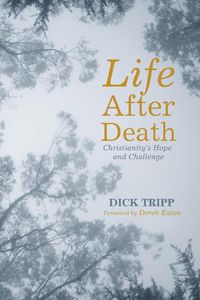 Cover image for Life After Death: Christianity's Hope and Challenge