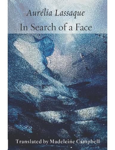 Cover image for In Search of a Face