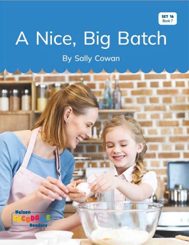 Cover image for A Nice, Big Batch (Set 16, Book 7)