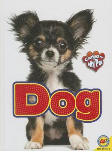 Cover image for Dog