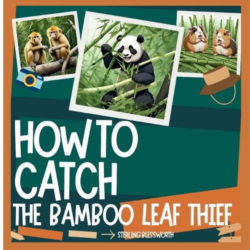 Cover image for How to Catch
