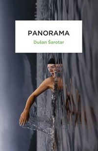 Cover image for Panorama: A Narrative about the Course of Events