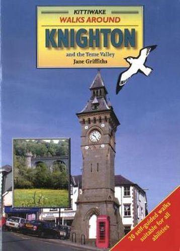 Cover image for Walks Around Knighton and the Teme Valley