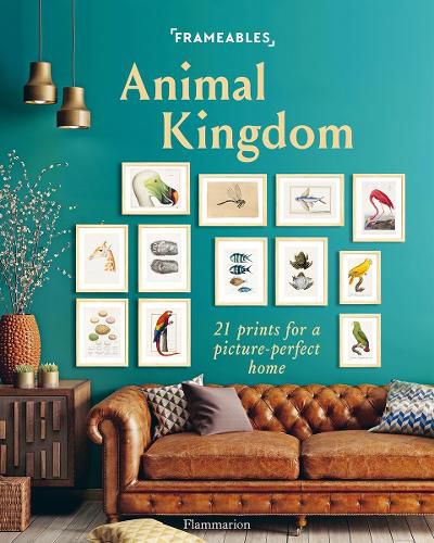 Cover image for Frameables: Animal Kingdom: 21 Prints for a Picture-Perfect Home