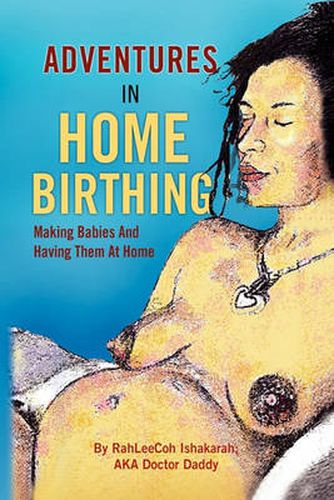 Cover image for Adventures in Home Birthing