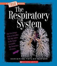 Cover image for The Respiratory System (True Book: Health and the Human Body) (Library Edition)