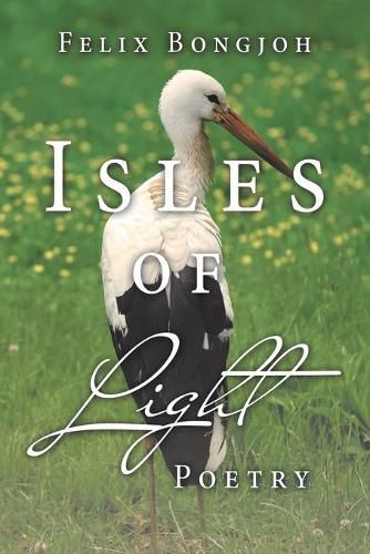 Cover image for Isles of Light