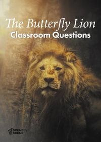 Cover image for The Butterfly Lion Classroom Questions