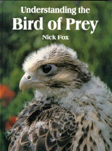 Cover image for Understanding the Bird of Prey