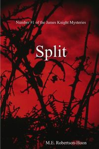 Cover image for Split