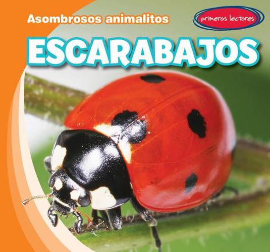 Cover image for Escarabajos (Beetles)