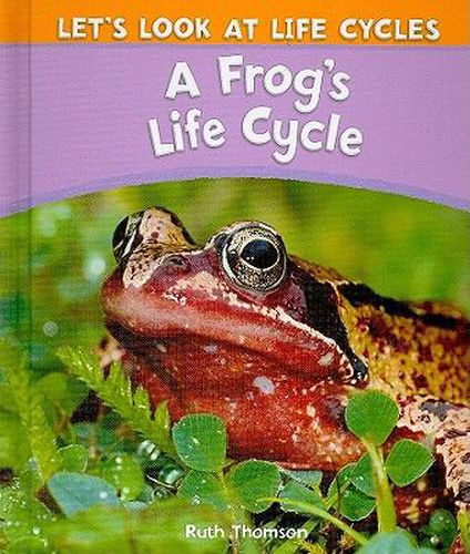 Cover image for A Frog's Life Cycle