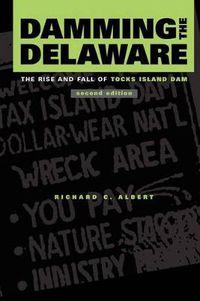 Cover image for Damming the Delaware: The Rise and Fall of Tocks Island Dam