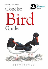 Cover image for Concise Bird Guide