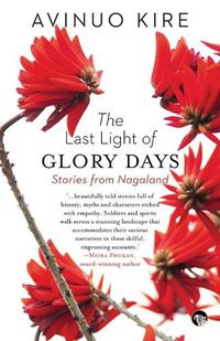 Cover image for The Last Light of Glory Days