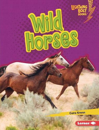 Cover image for Wild Horses