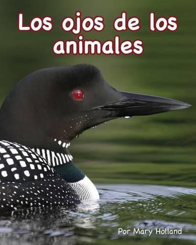 Cover image for Los Ojos de Los Animales (Animal Eyes)