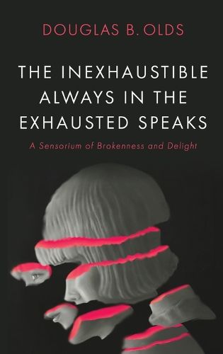 Cover image for The Inexhaustible Always in the Exhausted Speaks