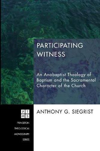 Cover image for Participating Witness