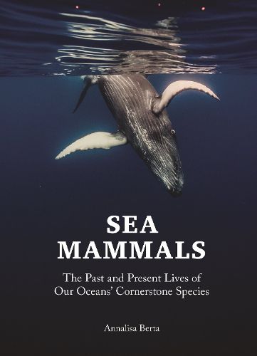 Sea Mammals