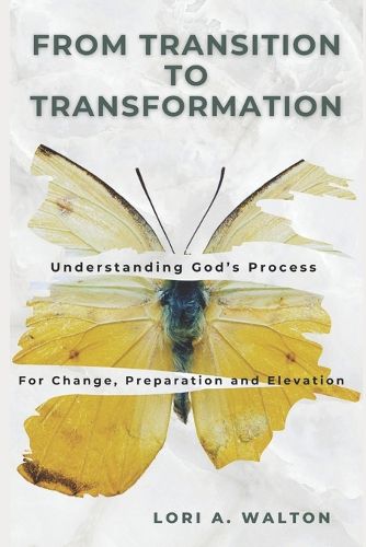 Cover image for From Transition to Transformation