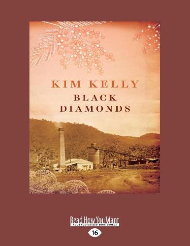 Cover image for Black Diamonds