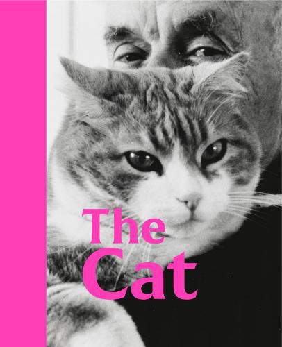 Cover image for The Cat