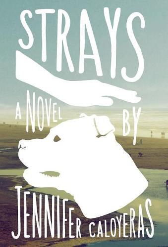 Cover image for Strays