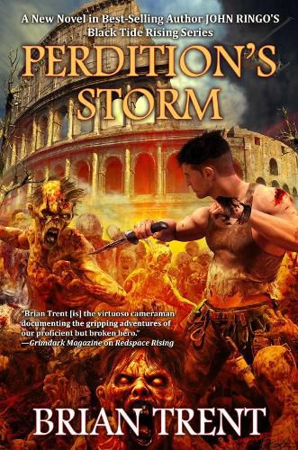 Cover image for Perdition's Storm
