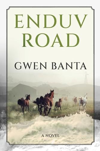 Cover image for Enduv Road