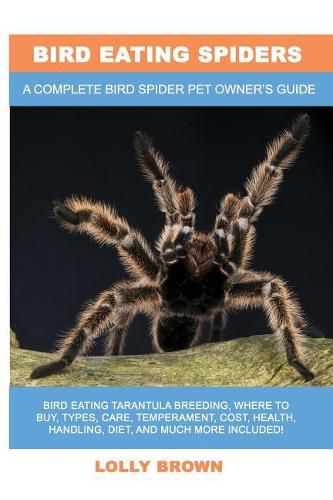 Bird Eating Spiders: Bird Eating Tarantula breeding, where to buy, types, care, temperament, cost, health, handling, diet, and much more included! A Complete Bird Spider Pet Owner's Guide