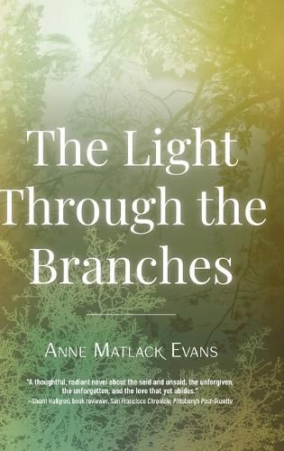 The Light Through the Branches